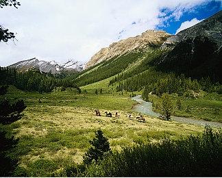 Steam最新一周销售榜 《捞女游戏》位列第九